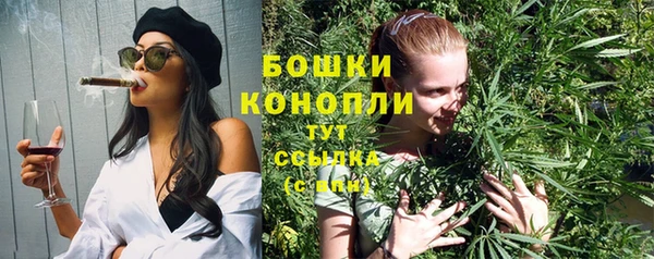 Альфа ПВП Лагань