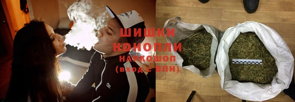 Альфа ПВП Лагань