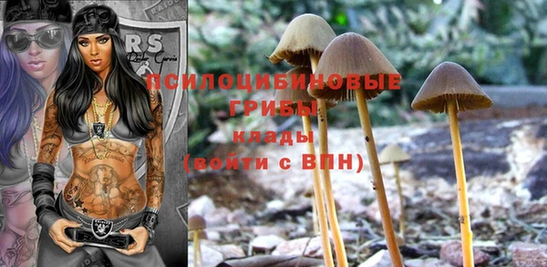 Альфа ПВП Лагань