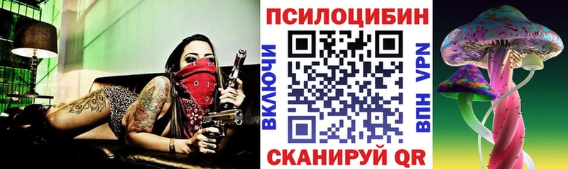 Галлюциногенные грибы мухоморы  где купить   Шатура 