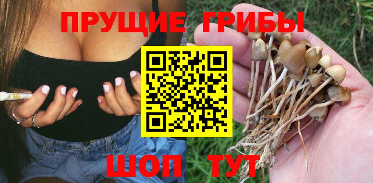 Шатура  Псилоцибиновые грибы мицелий  Вход с VPN 