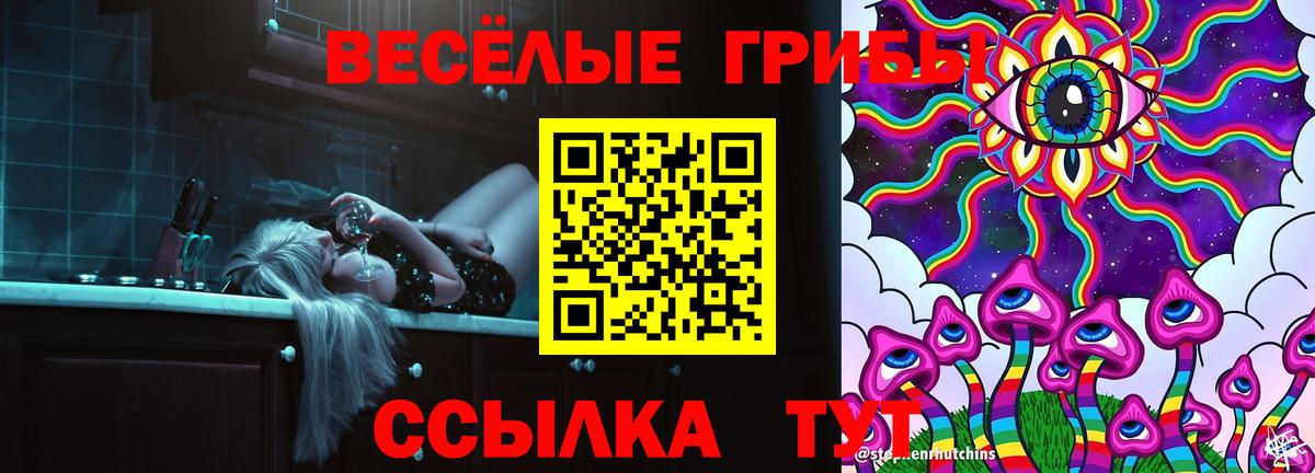 Псилоцибиновые грибы прущие грибы Шатура