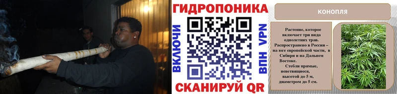 hydra как зайти  купить наркотик  Шатура  Бошки марихуана план 