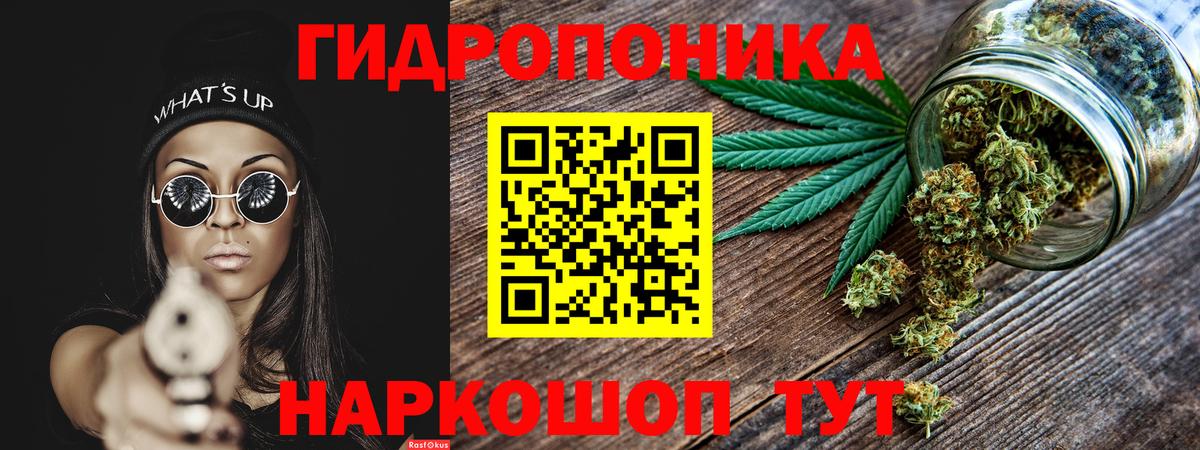 Псилоцибиновые грибы Шатура